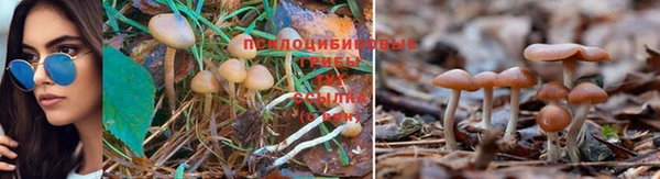 дживик Алзамай