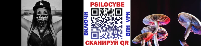 закладки  Дубовка  Галлюциногенные грибы MAGIC MUSHROOMS 